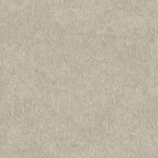 Tapety RAVENA  VIRA Tapeta jak marmur tynk 102409-2