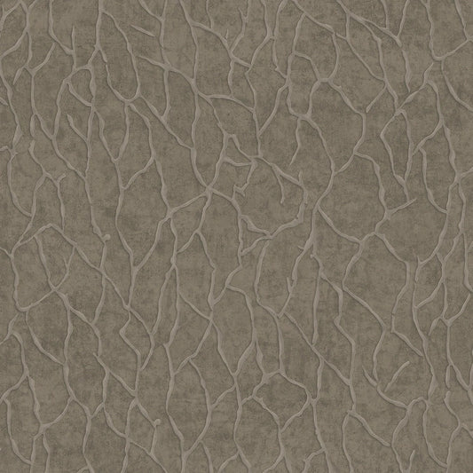 Tapety RAVENA  VIRA Tapeta jak marmur tynk 102409-5