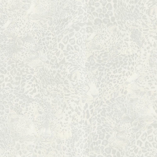 Dolce & Gabbana - Tapeta lampart  TCW007 TCAHO