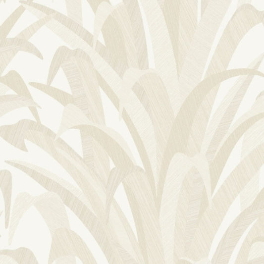 GRANDECO - CUMARU - Egzotyczne liście