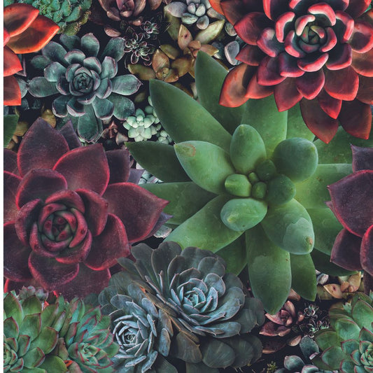 Marburg Smart Art Aspiration - Kwiaty