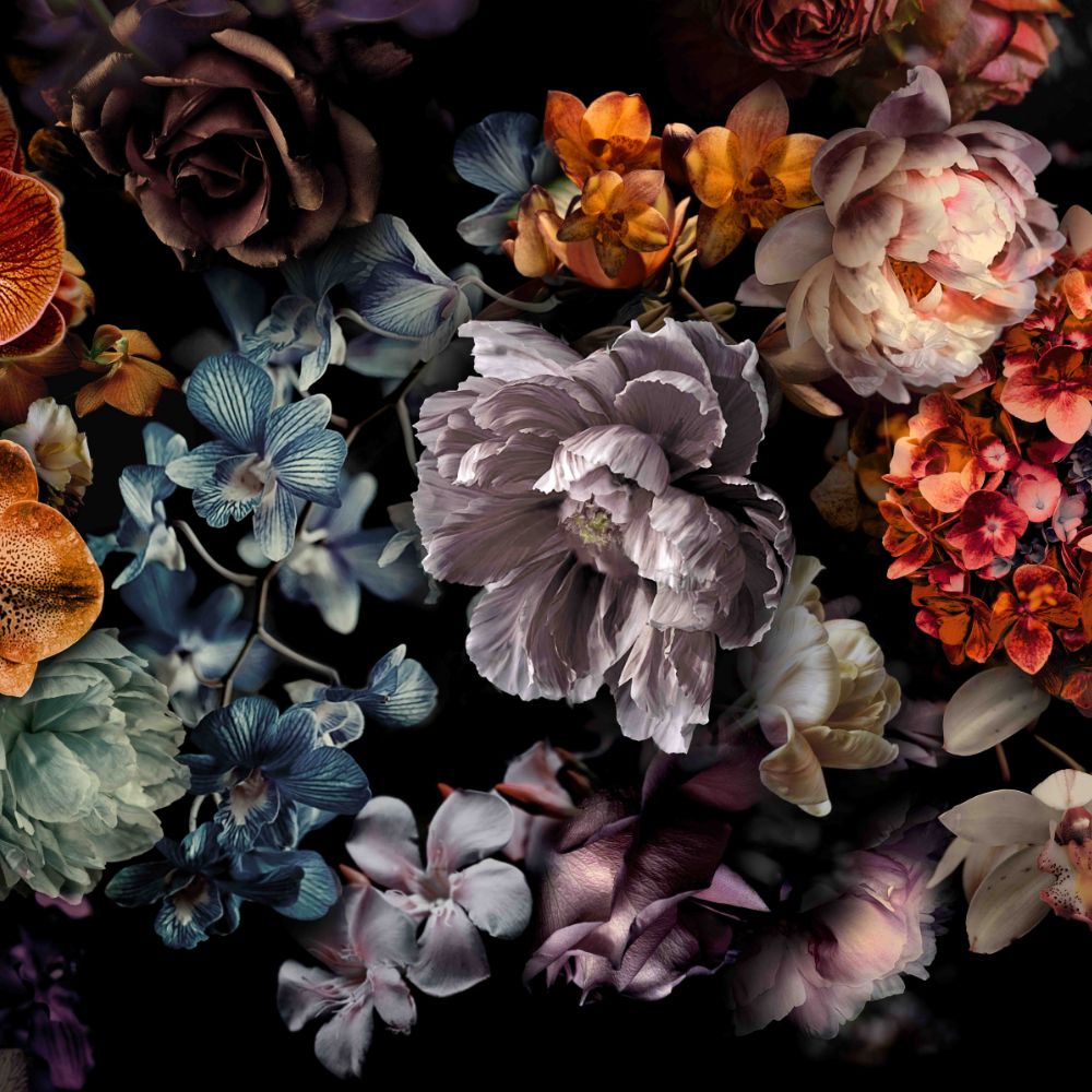 Marburg Smart Art Gallery - Kwiaty