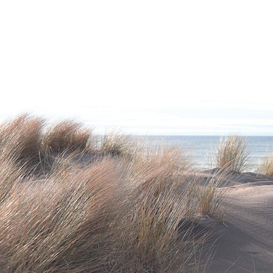 Marburg Smart Art Easy - Morze