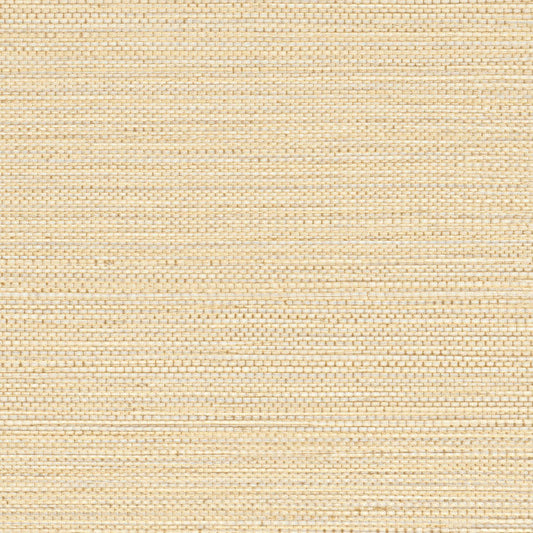 Casamance Golfe Du Bengale Zostera - plecionka