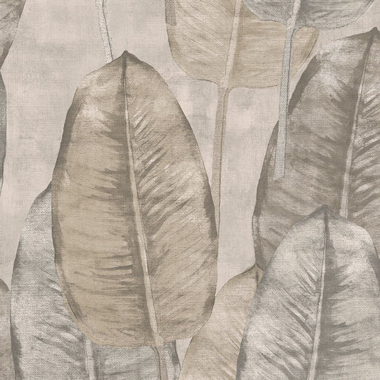 Pama - Tahiti - Liście bananowca TA25080