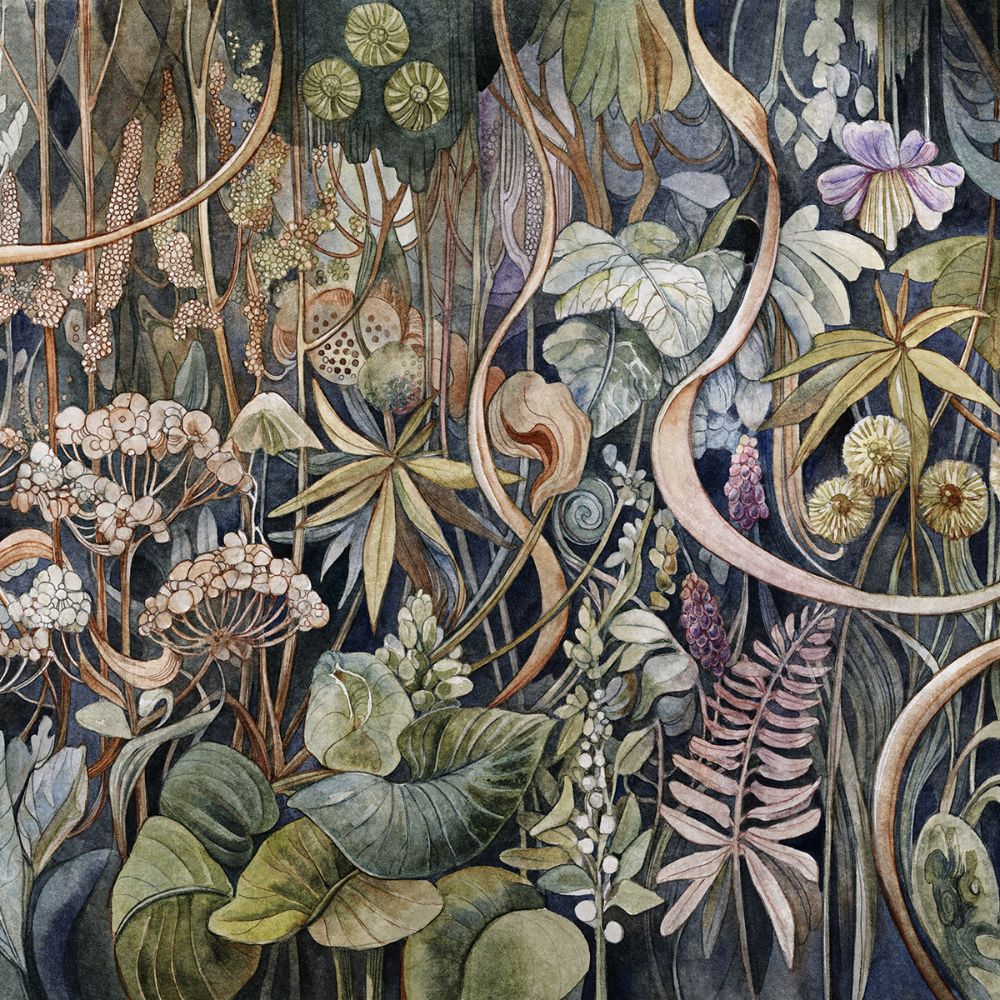 Fototapeta Lorenso - Feris - Rośliny  TPA 0624 0097 00