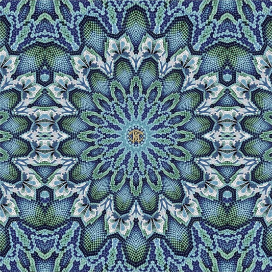 ROBERTO CAVALLI HOME NO.8 - Mural z koronką