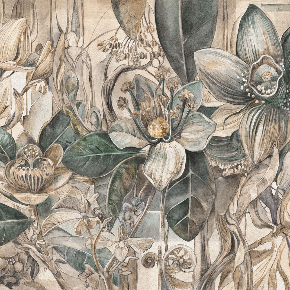 Fototapeta Lorenso -   Blush  - Duże kwiaty TPA 0324 0080 00