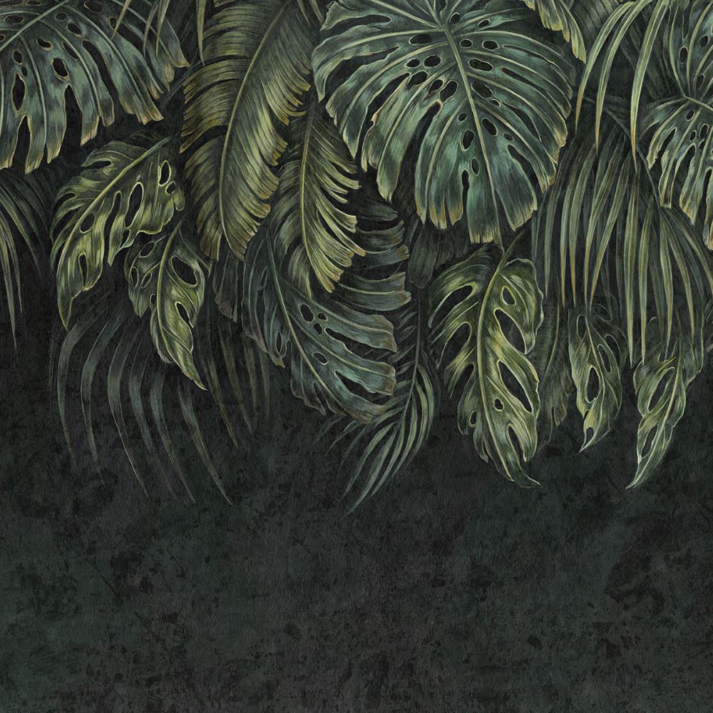 Fototapeta Lorenso - Botany - Tropikalne liście   TPA 1123 0027 00