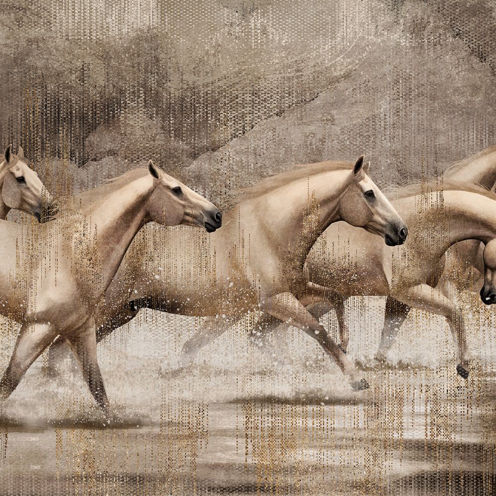 Fototapeta Lorenso - Carino -  Konie  TPA 1224 0115 00