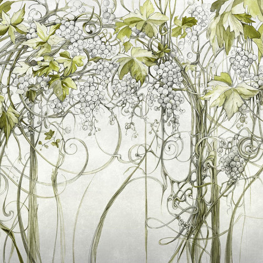 Fototapeta Lorenso - Ruvinz - Owoce winogrona TPA 0224 0065 00