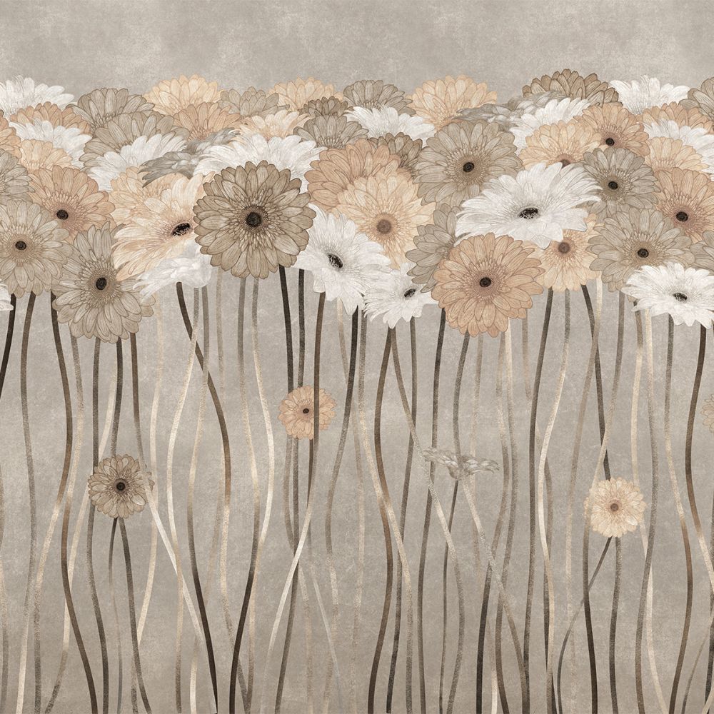 Fototapeta Lorenso - Gerbify- Gerbery w pastelach TPA 1123 0003 00