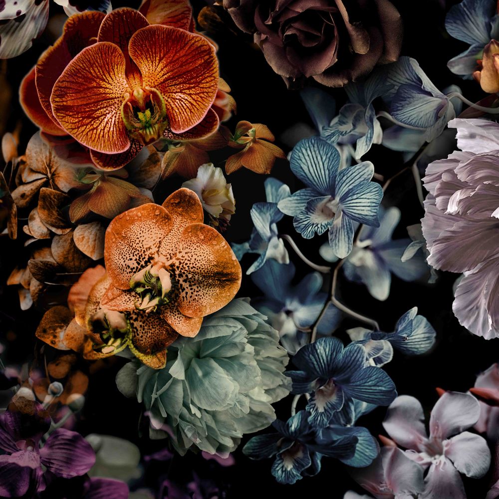 Marburg Smart Art Gallery - Duże kwiaty