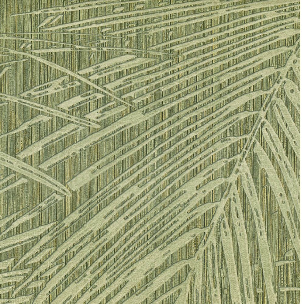 Jwall Shunan Tapeta palmowe liście 50613