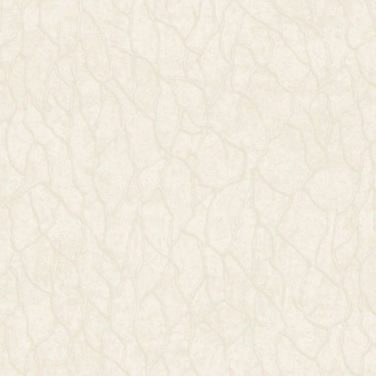 Tapety RAVENA  VIRA Tapeta jak marmur tynk 102409-1