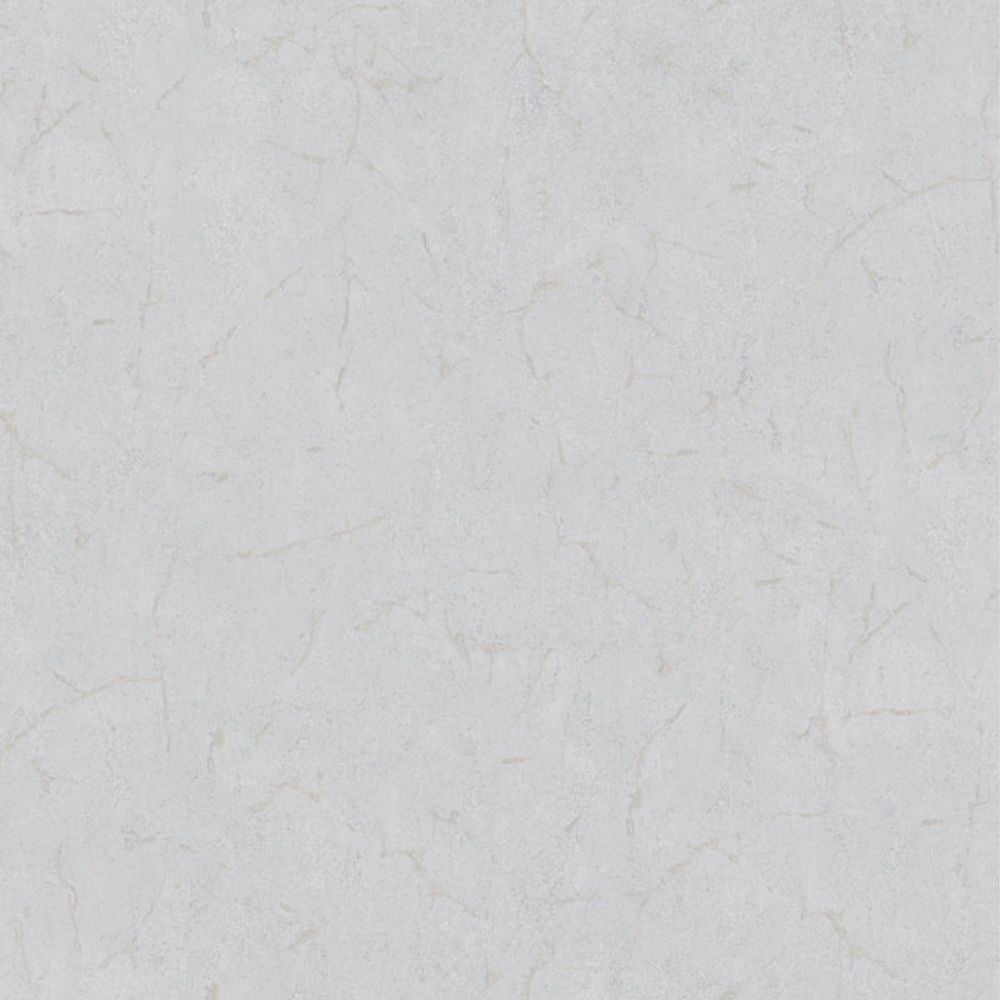 Cristiana Masi METAMORPHOSIS Tapeta tynk beton 6618