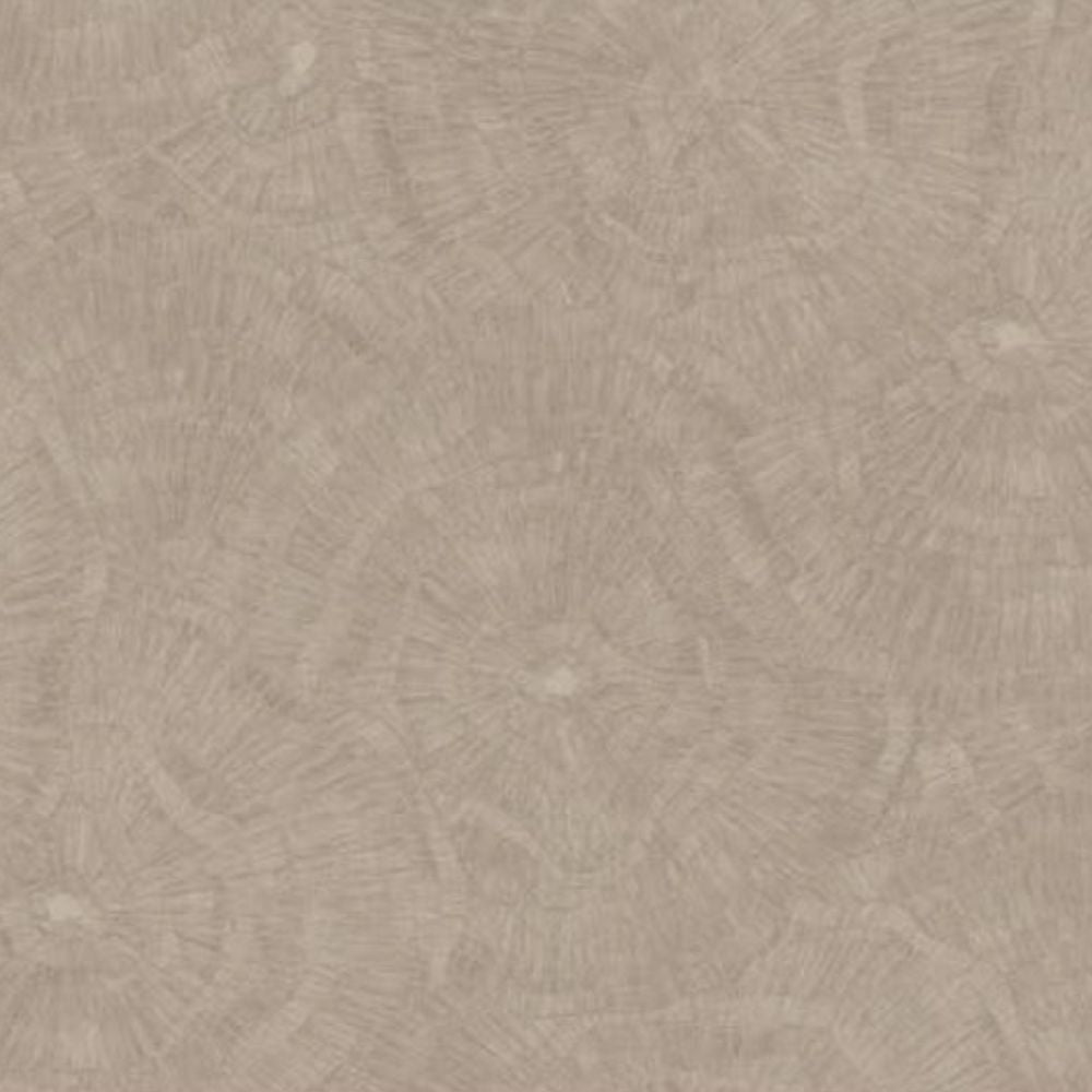 Cristiana Masi METAMORPHOSIS Tapeta tynk przecierka 6639