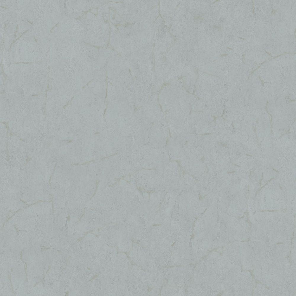 Cristiana Masi METAMORPHOSIS Tapeta tynk beton 6616