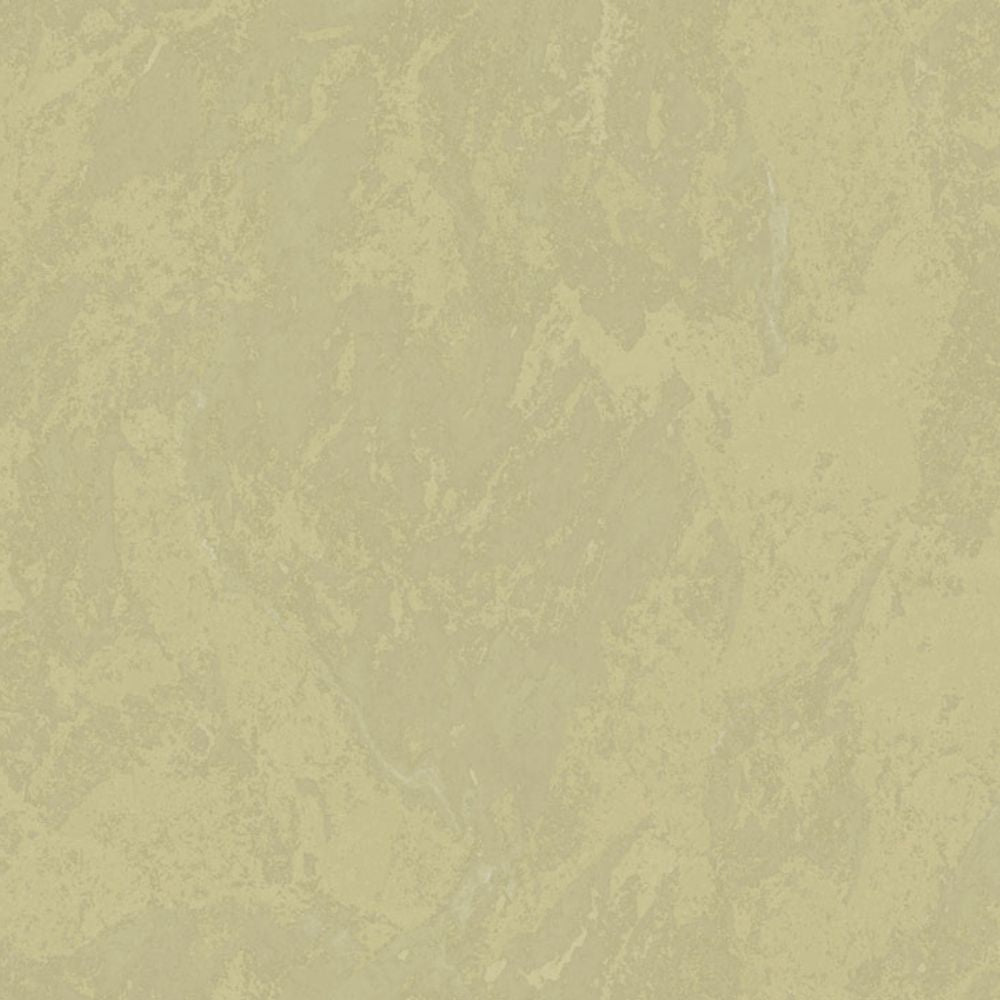 Cristiana Masi METAMORPHOSIS Tapeta tynk przecierka 6645