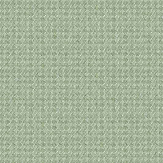 ZAMBAITI PARATI - AUTOMOBILI LAMBORGHINI - Efekt karbonu