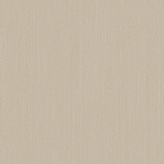 Zephira  tapeta w prążki ZP54406