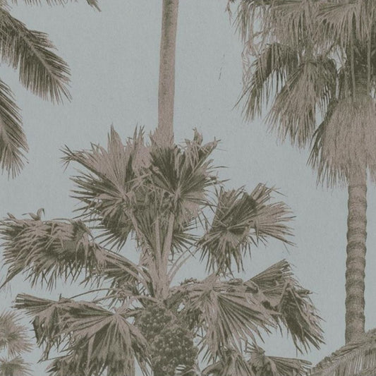 TIM WILMAN Malibu - Palmy