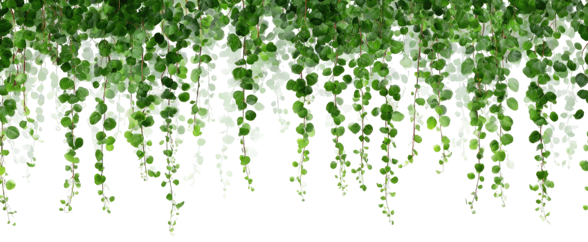 Jak wprowadzić do domu kojącą zieleń natury? Odkryj tapety, które odmienią klimat wnętrza!