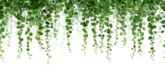 Jak wprowadzić do domu kojącą zieleń natury? Odkryj tapety, które odmienią klimat wnętrza!