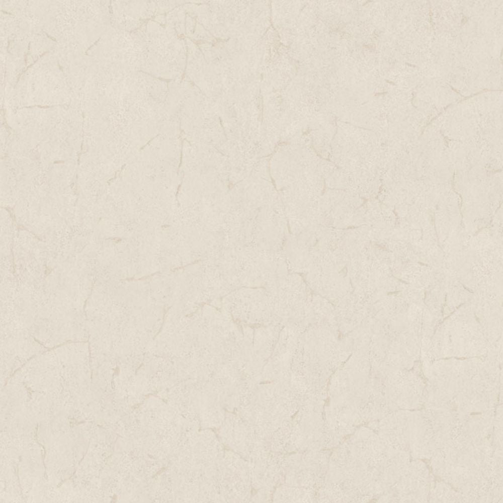 Cristiana Masi METAMORPHOSIS Tapeta tynk beton 6612