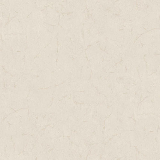 Cristiana Masi METAMORPHOSIS Tapeta tynk beton 6612