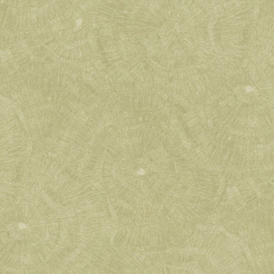 Cristiana Masi METAMORPHOSIS Tapeta tynk przecierka 6625