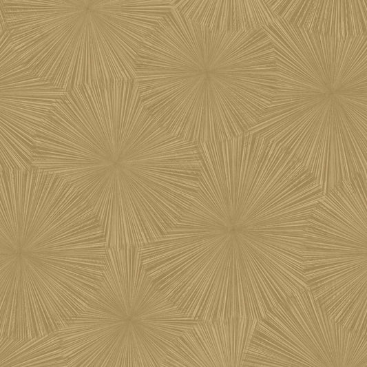 CASADECO SOLARIS Helios Tapeta w promienie  201872612