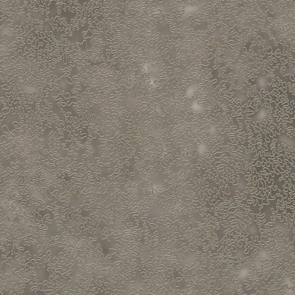 Tapeta RAVENA  MUNIRA  Tapeta beton przecierka 102310-4