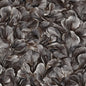 Tapeta RAVENA  Amary tapeta w kwiaty 190619-8
