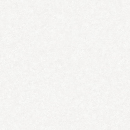 Tapeta RAVENA  BRENTA   Gładka Tło  188236-1