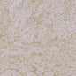 Eijffinger Magnifique Tapeta  w listki  351271