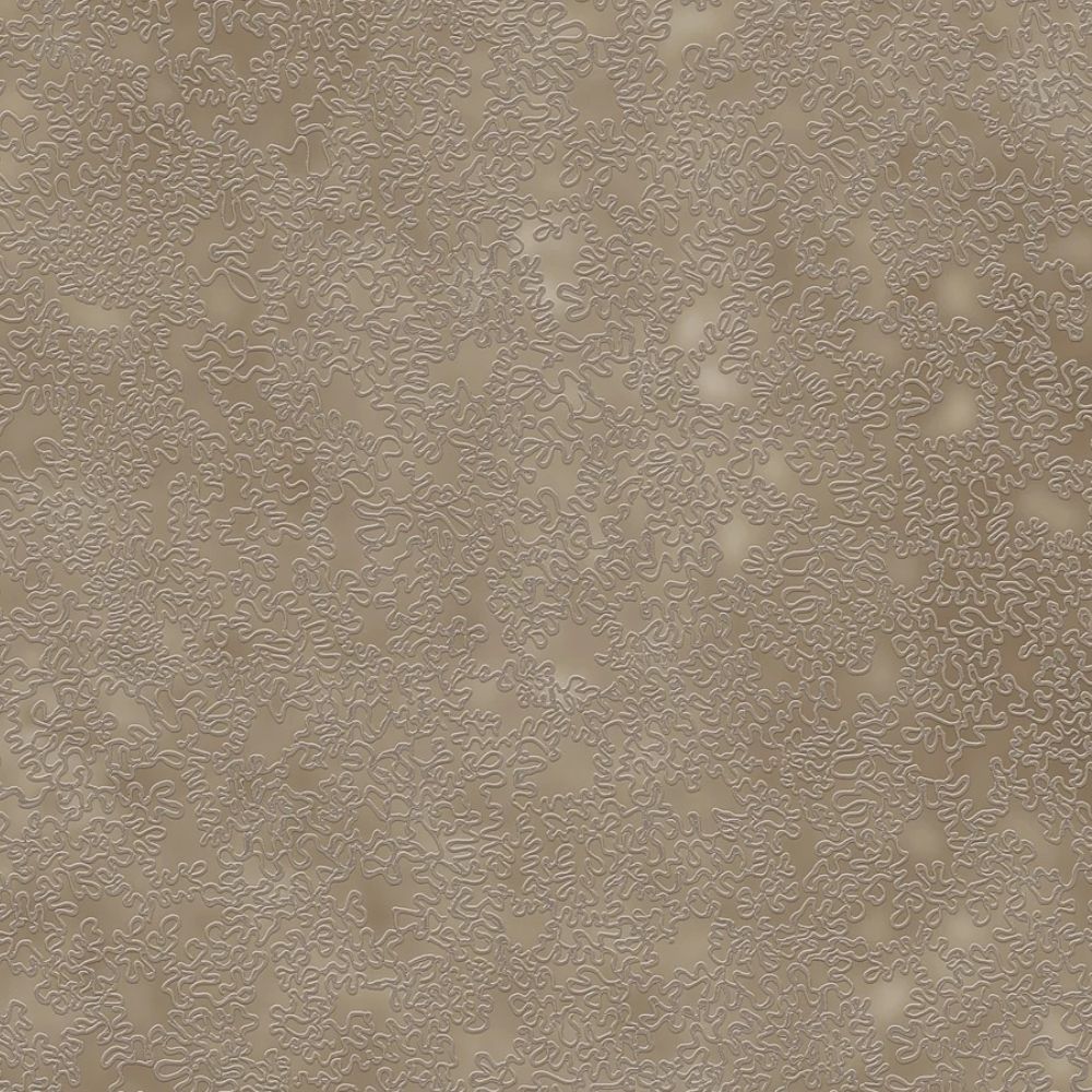 Tapeta RAVENA  MUNIRA  Tapeta beton przecierka 102310-3