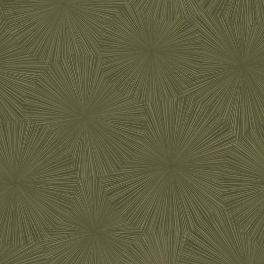 CASADECO SOLARIS Helios Tapeta w promienie 201877777