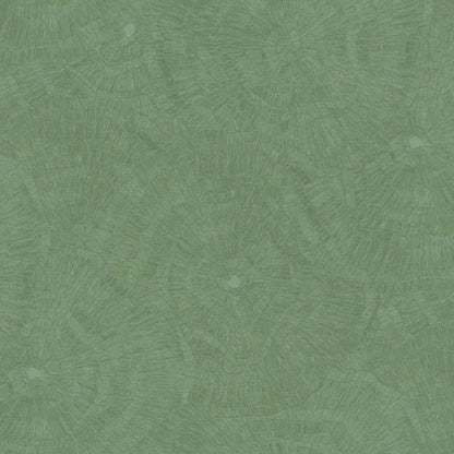 Cristiana Masi METAMORPHOSIS Tapeta tynk przecierka 6635