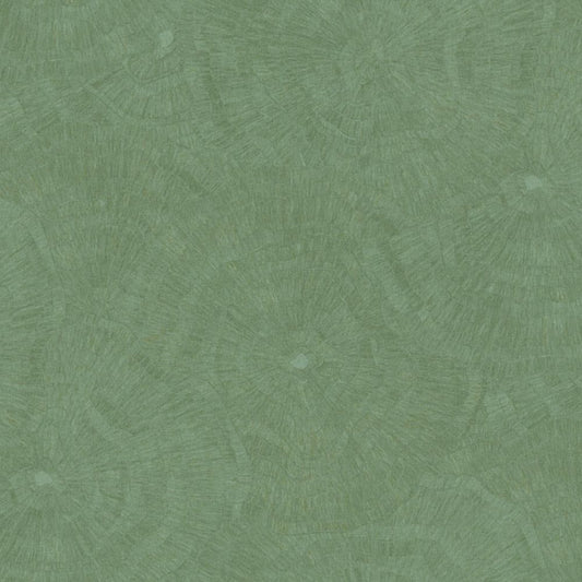 Cristiana Masi METAMORPHOSIS Tapeta tynk przecierka 6635