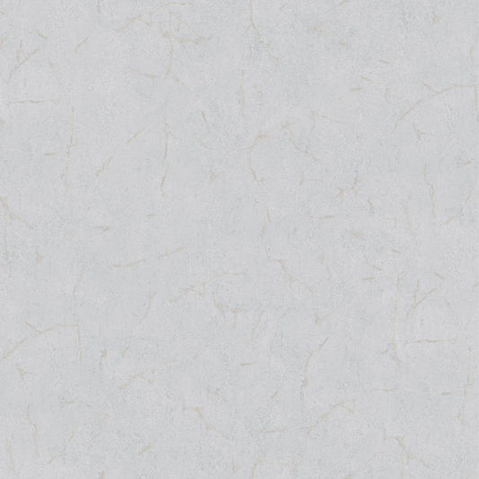 Cristiana Masi METAMORPHOSIS Tapeta tynk beton 6618