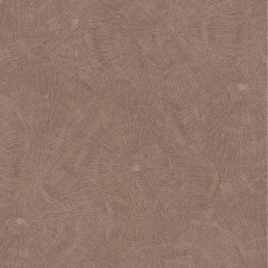 Cristiana Masi METAMORPHOSIS Tapeta tynk przecierka 6629