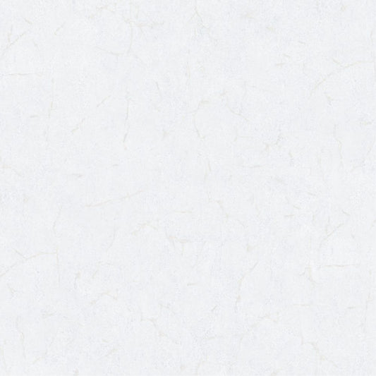 Cristiana Masi METAMORPHOSIS Tapeta tynk beton 6611