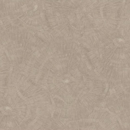 Cristiana Masi METAMORPHOSIS Tapeta tynk przecierka 6639