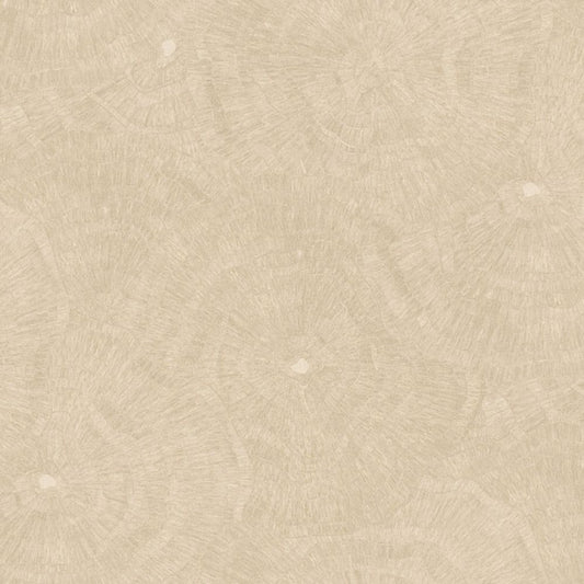 Cristiana Masi METAMORPHOSIS Tapeta tynk przecierka 6623