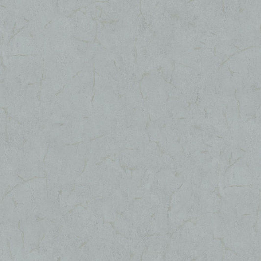 Cristiana Masi METAMORPHOSIS Tapeta tynk beton 6616