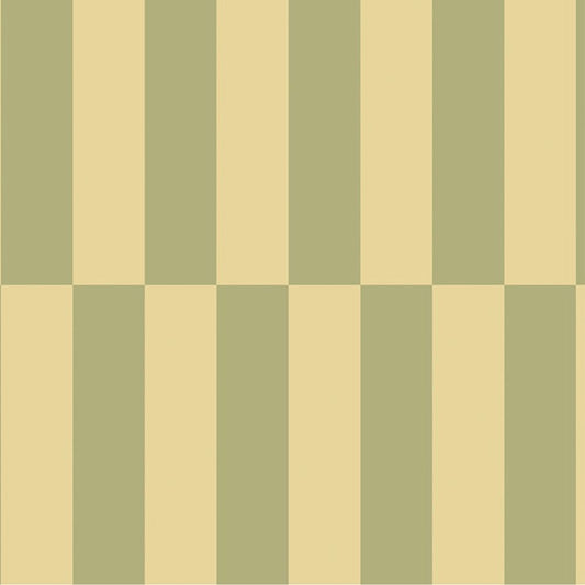 Cristiana Masi RIO Tapeta w paski geometria 2055