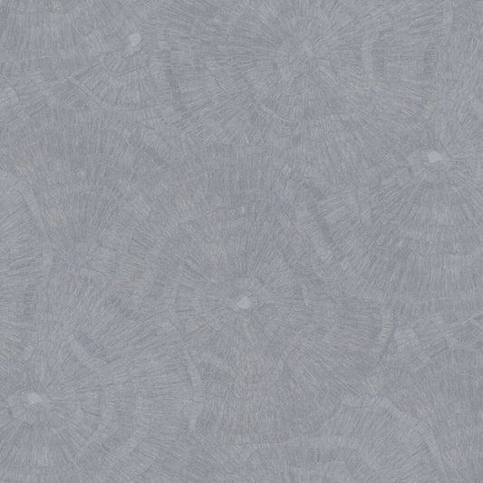 Cristiana Masi METAMORPHOSIS Tapeta tynk przecierka 6627