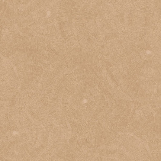 Cristiana Masi METAMORPHOSIS Tapeta tynk przecierka 6624