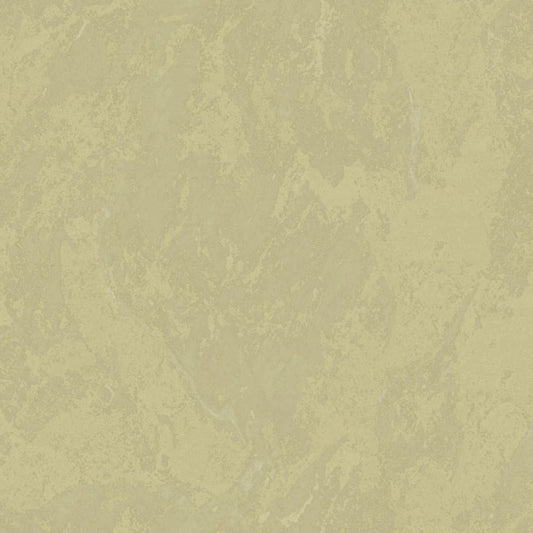 Cristiana Masi METAMORPHOSIS Tapeta tynk przecierka 6645